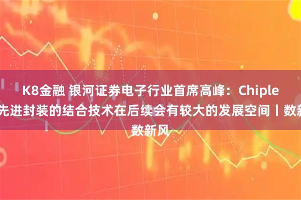 K8金融 银河证券电子行业首席高峰：Chiplet和先进封装的结合技术在后续会有较大的发展空间丨数新风