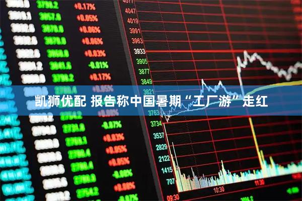 凯狮优配 报告称中国暑期“工厂游”走红