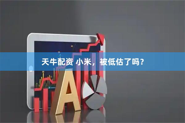 天牛配资 小米，被低估了吗？