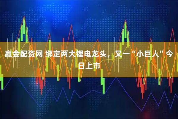 赢金配资网 绑定两大锂电龙头，又一“小巨人”今日上市